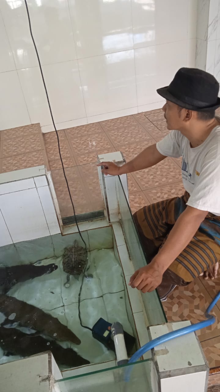 JADI TONTONAN: Koleksi ikan di Masjid Desa Wadungasri. (DIKY PUTRA SANSIRI/RADAR SIDOARJO)