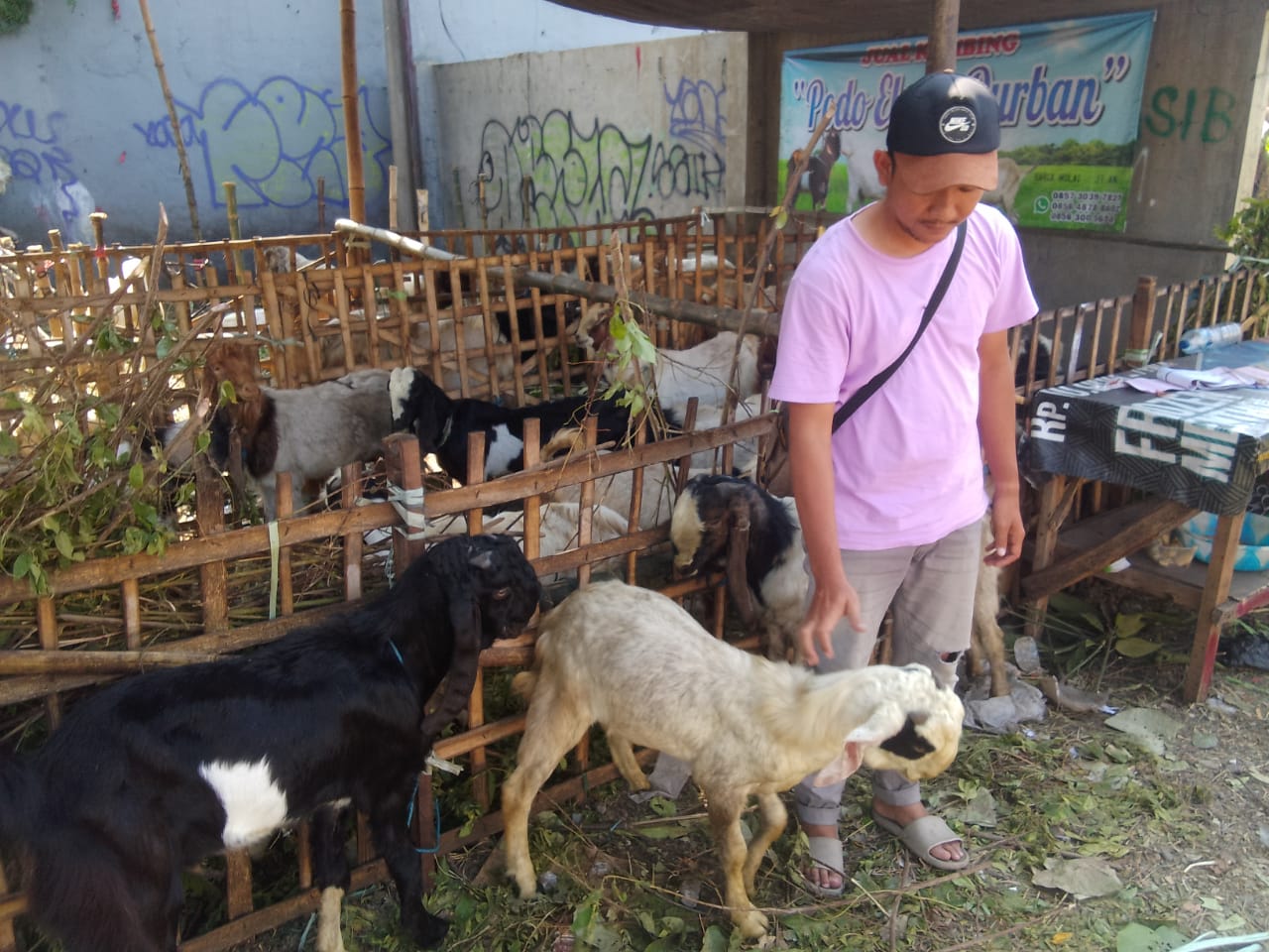 LESU: Penjualan kambing untuk kurban di Jalan Raya Wadungasri, Kecamatan Waru. (DIKY PUTRA SANSIRI/RADAR SIDOARJO)
