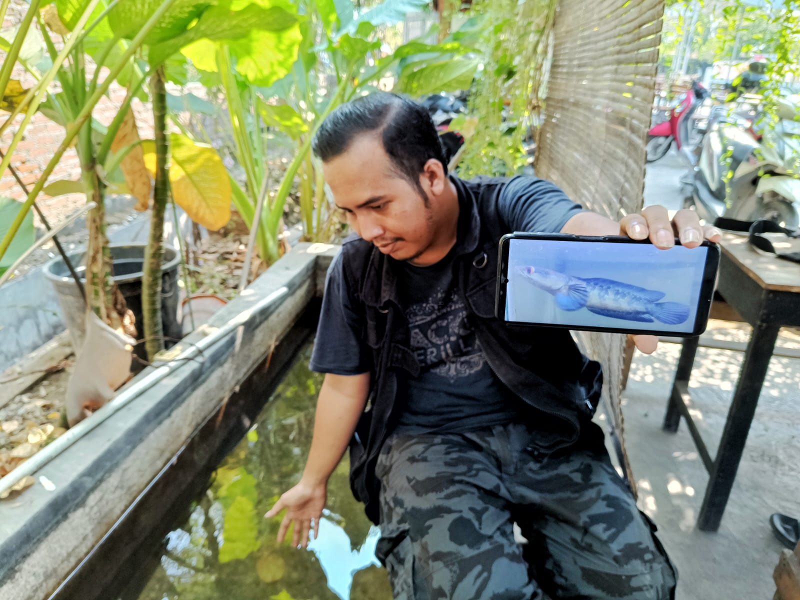 HOBI: Daniel memperlihatkan salah satu ikan yang dia pelihara. (ANNISA FIRDAUSI/RADAR SIDOARJO)