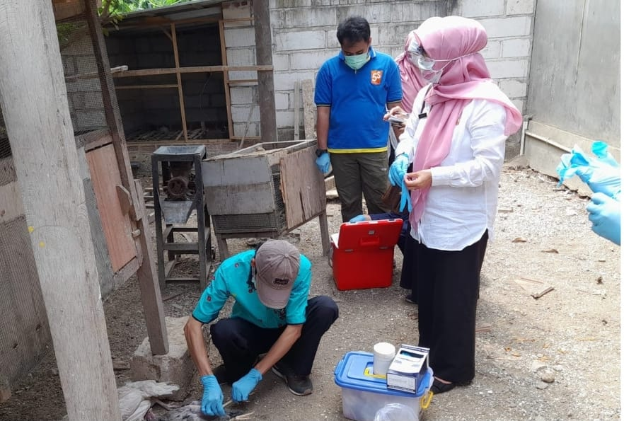 CARI PENYEBABNYA: Petugas Dinas Pangan dan Pertanian Sidoarjo mengecek unggas yang mati mendadak di Tanggulangin beberapa waktu lalu. (IST)