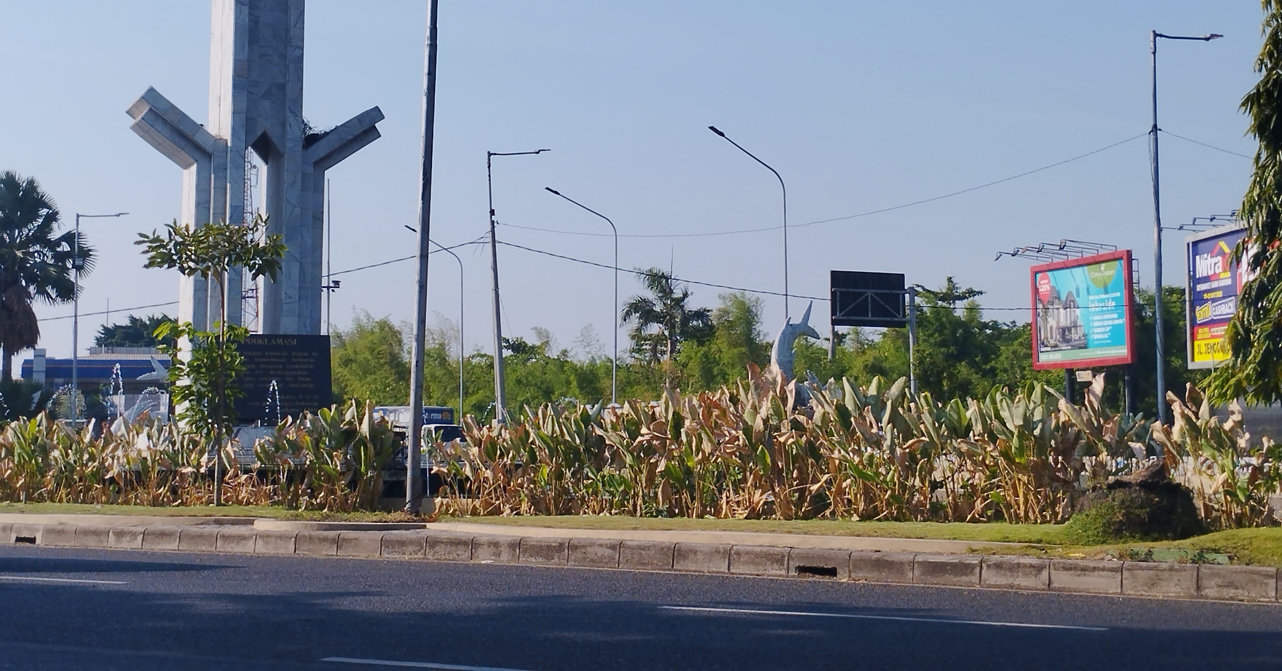 MENGUNING: Tanaman pisnag-pisangan terkena dampak panas ekstrem. (ANNISA FIRDAUSI/RADAR SIDOARJO)