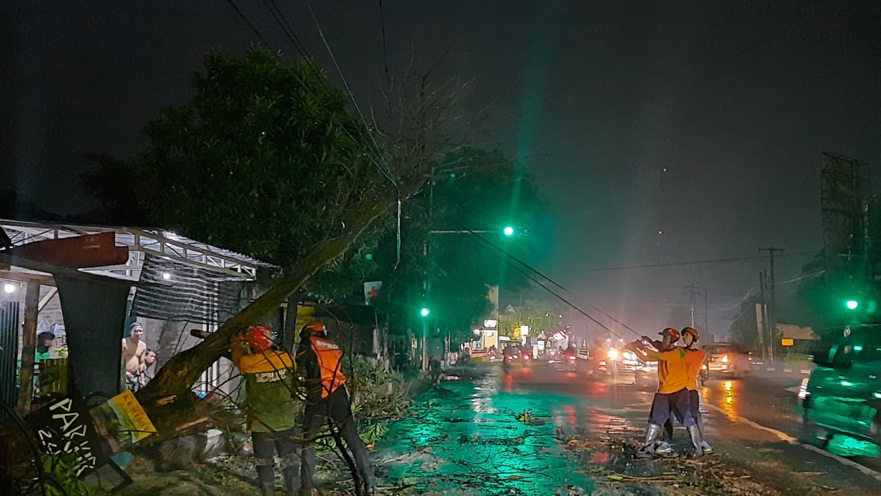 POHON LAPUK : Kondisi pohon tumbang menutup akses Jalan Raya Prambon. (IST)