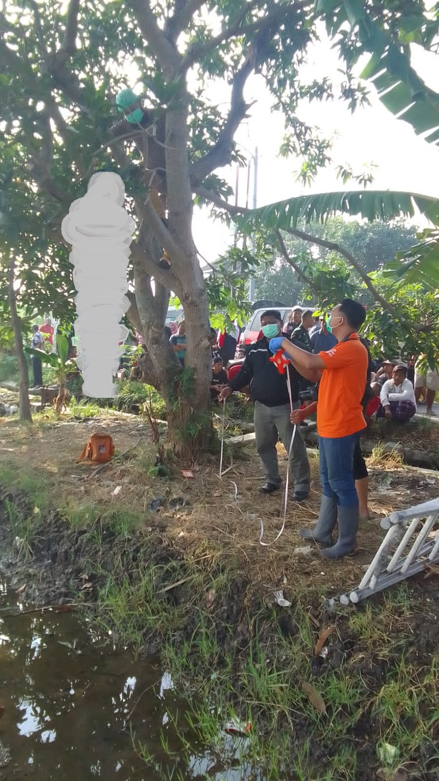 TRAGIS: Jenazah korban gantung diri di pohon mangga Desa Tebel Tengah. (IST)