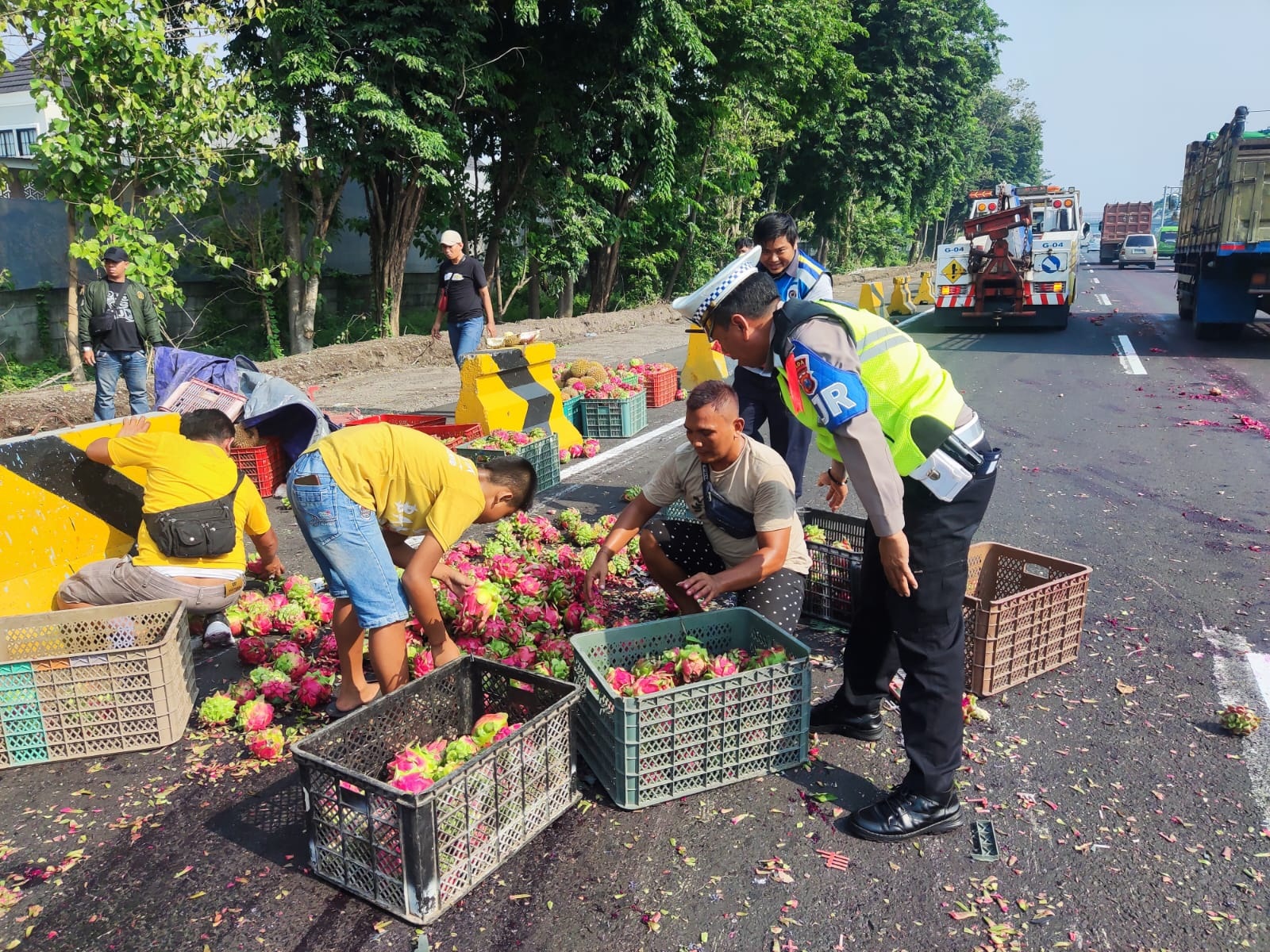 APES: Kondisi buah naga berceceran usai pikap hilang kendali di Tol Porong arah Sidoarjo, KM 757/B, Minggu (17/12) pagi. (IST)