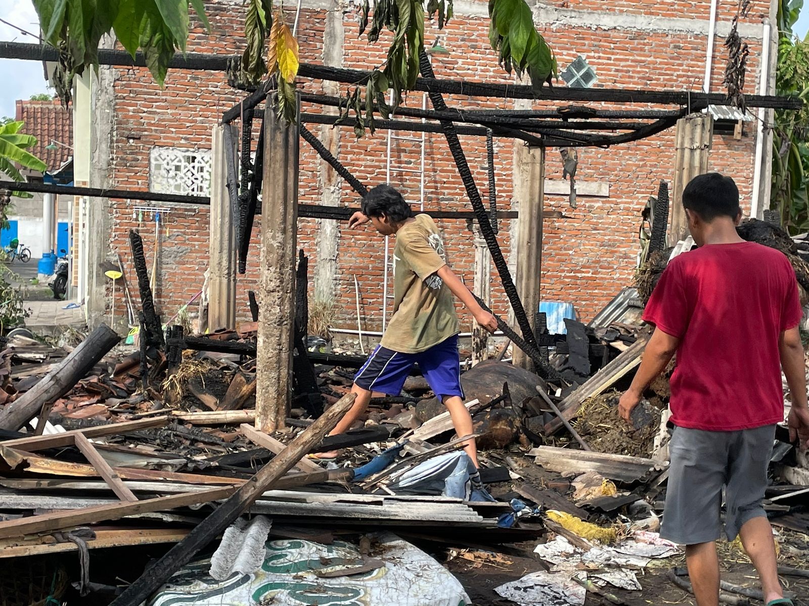 HANGUS: Kondisi kandang sapi milik Damuji. (DIKY PUTRA SANSIRI/RADAR SIDOARJO)