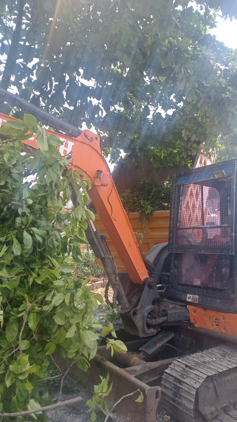 DAMPAK ANGIN KENCANG: Alat berat diturunkan untuk mengevakuasi pohon tumbang akibat angin kencang di Sidoarjo.