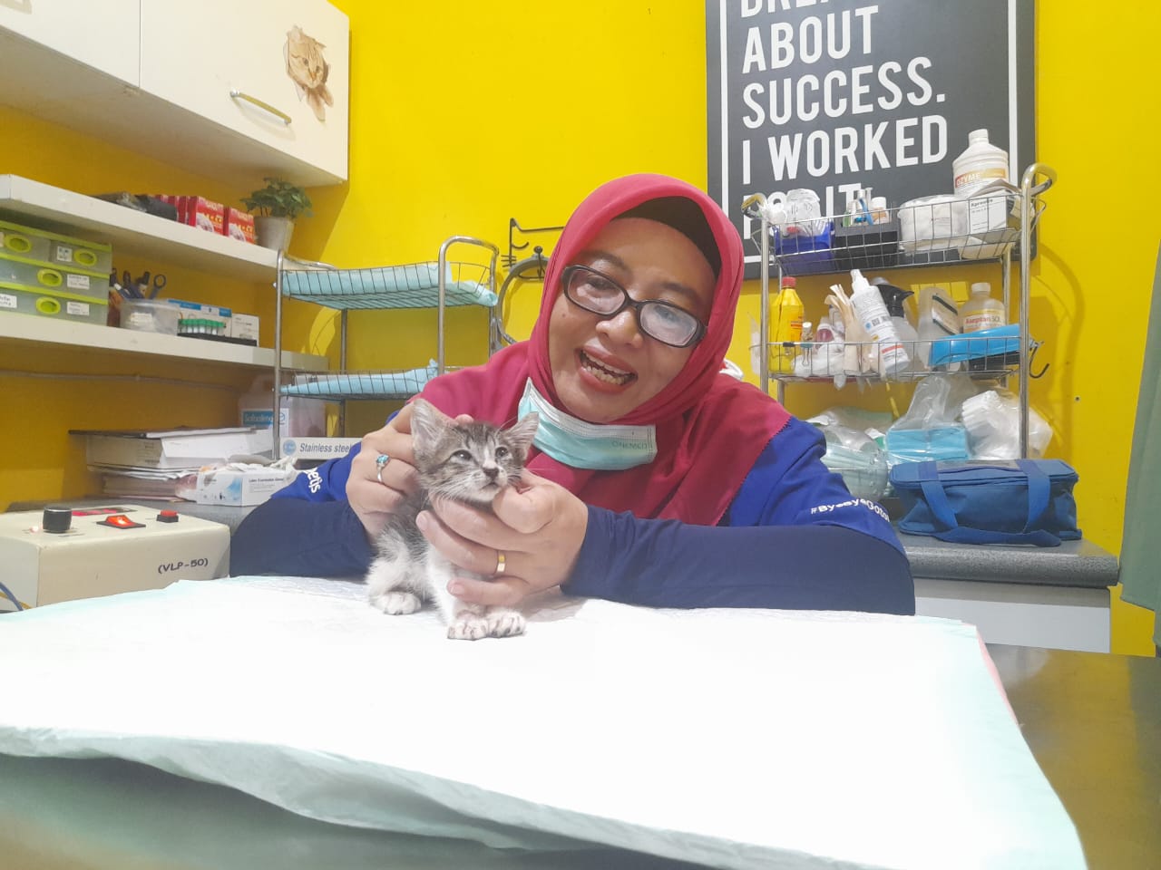 RAWAT: Dokter hewan, Endang Ariyanti Wahyuni saat periksa salah satu kucing yang sakit karena jatuh dari ketinggian. (M SAIFUL ROHMAN/RADAR SIDOARJO)