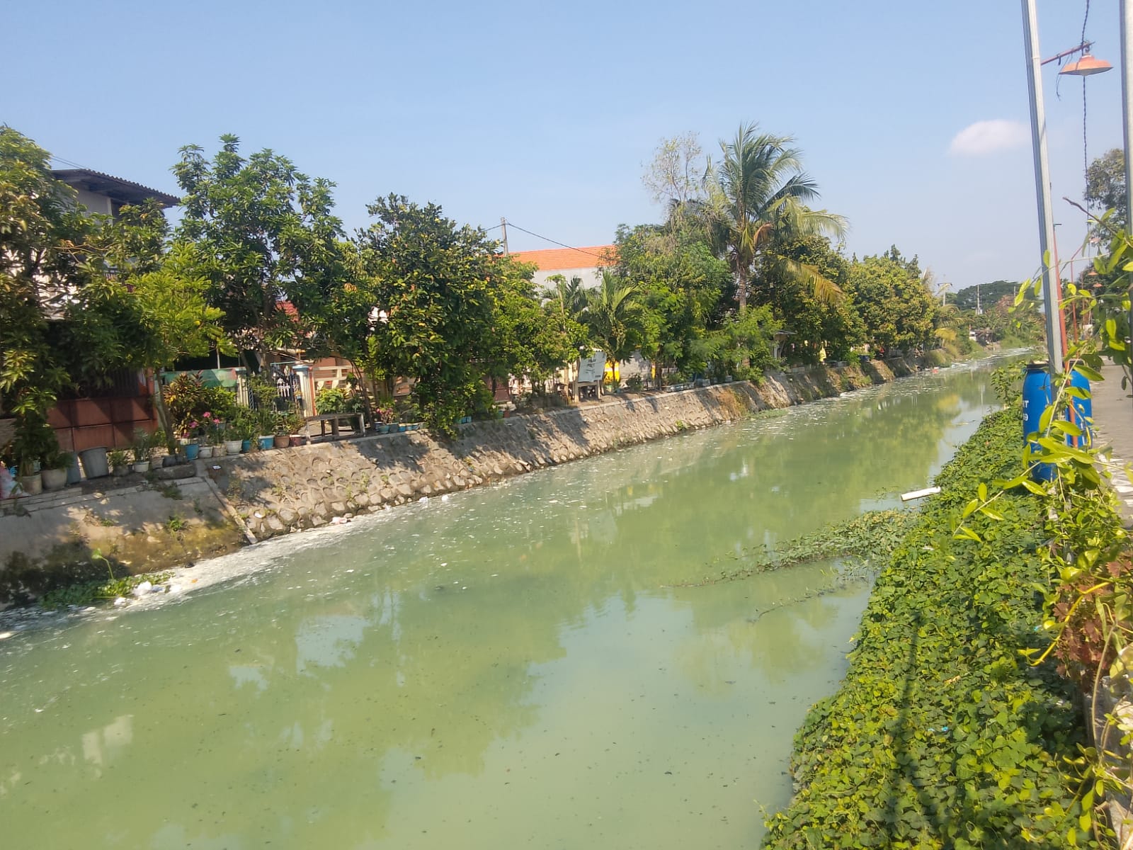 BERUBAH WARNA : Penampakan air sungai di Desa Pabean, Sedati berwarna hijau tosca, Rabu (12/6). (DIKY PUTRA SANSIRI/RADAR SIDOARJO)
