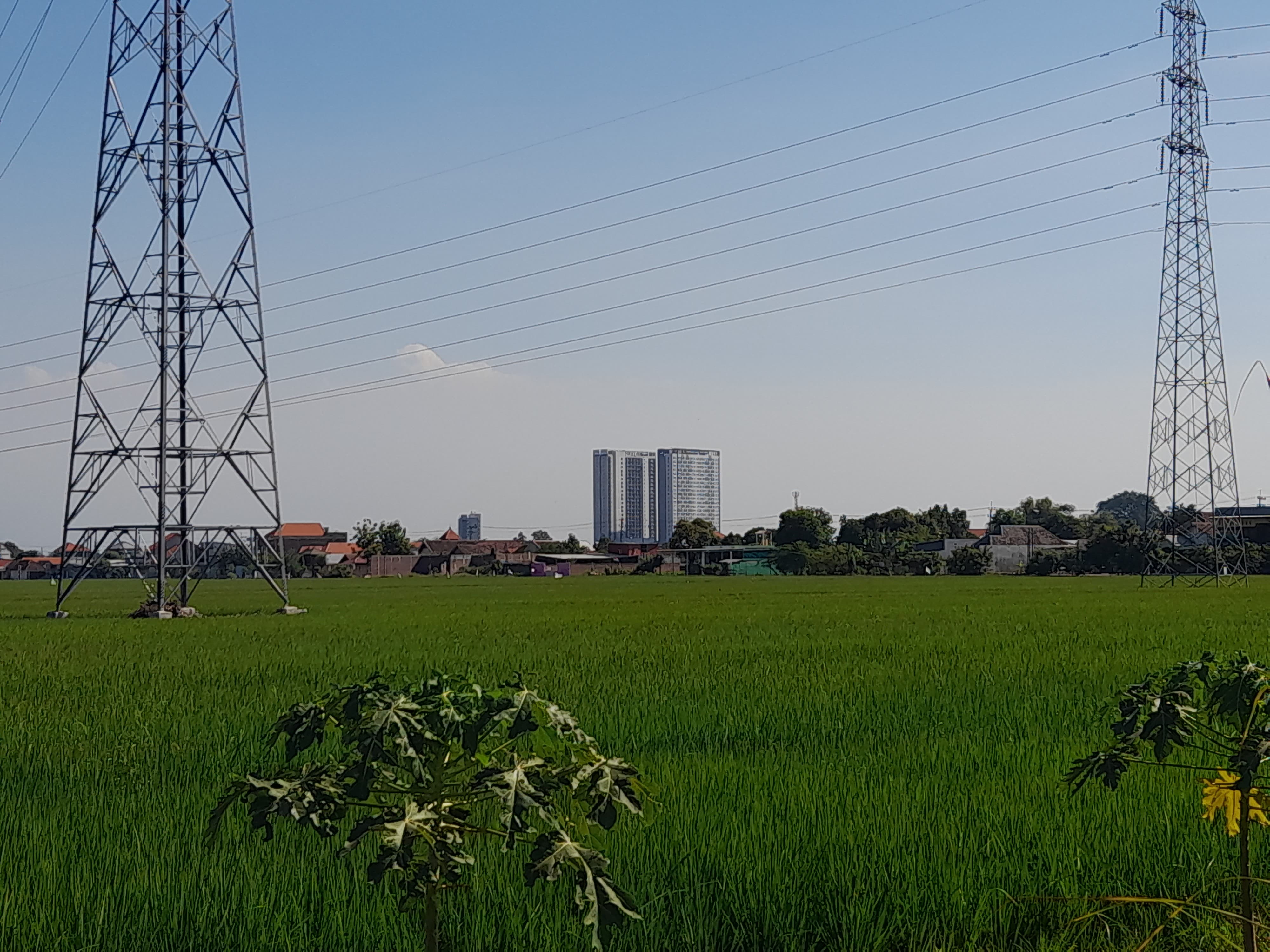 BUTUH PERHATIAN: Salah satu lahan pertanian yang tersisa di Kecamatan Sukodono. (M SAIFUL ROHMAN/RADAR SIDOARJO)