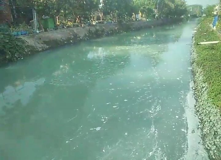 BERUBAH WARNA : Penampakan air sungai di Desa Pabean, Sedati berwarna hijau tosca, Jumat (20/9). (DIKY PUTRA SANSIRI/RADAR SIDOARJO)