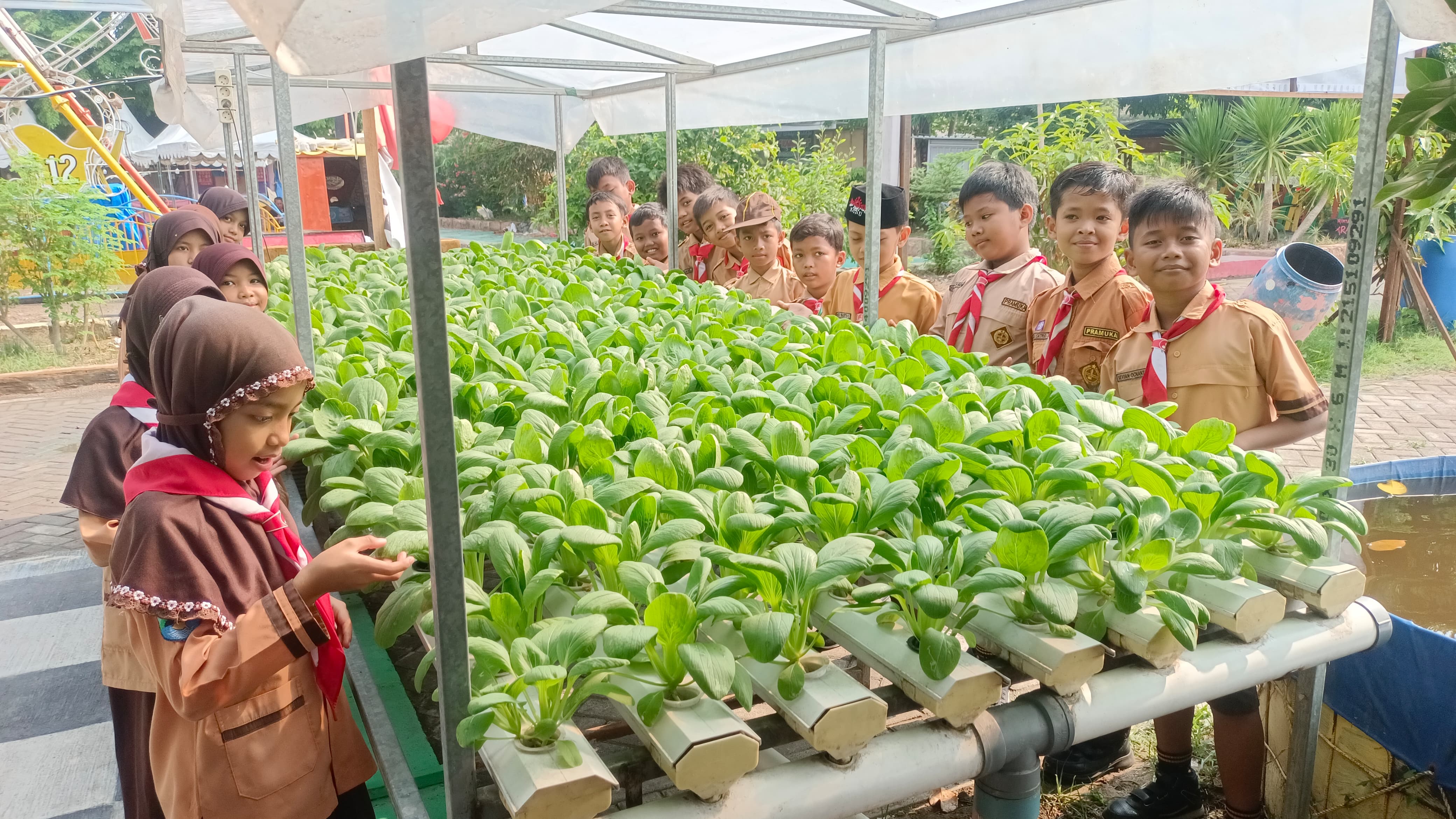 SEGAR: Para siswa SDN 1 Gelam saat melihat tanaman sayur hidroponik. (ANAS/ RADAR SIDOARJO)