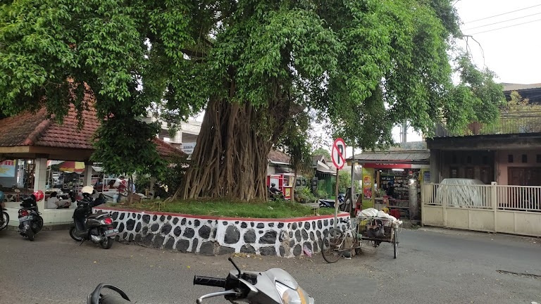 BUDAYA: Beringin tempat ritual yang dilakukan oleh warga Desa Sepande, Candi. (IST)