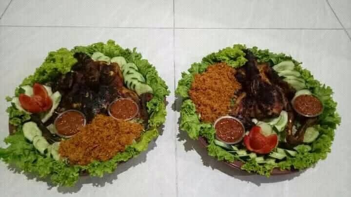 Dua sejajen ayam.