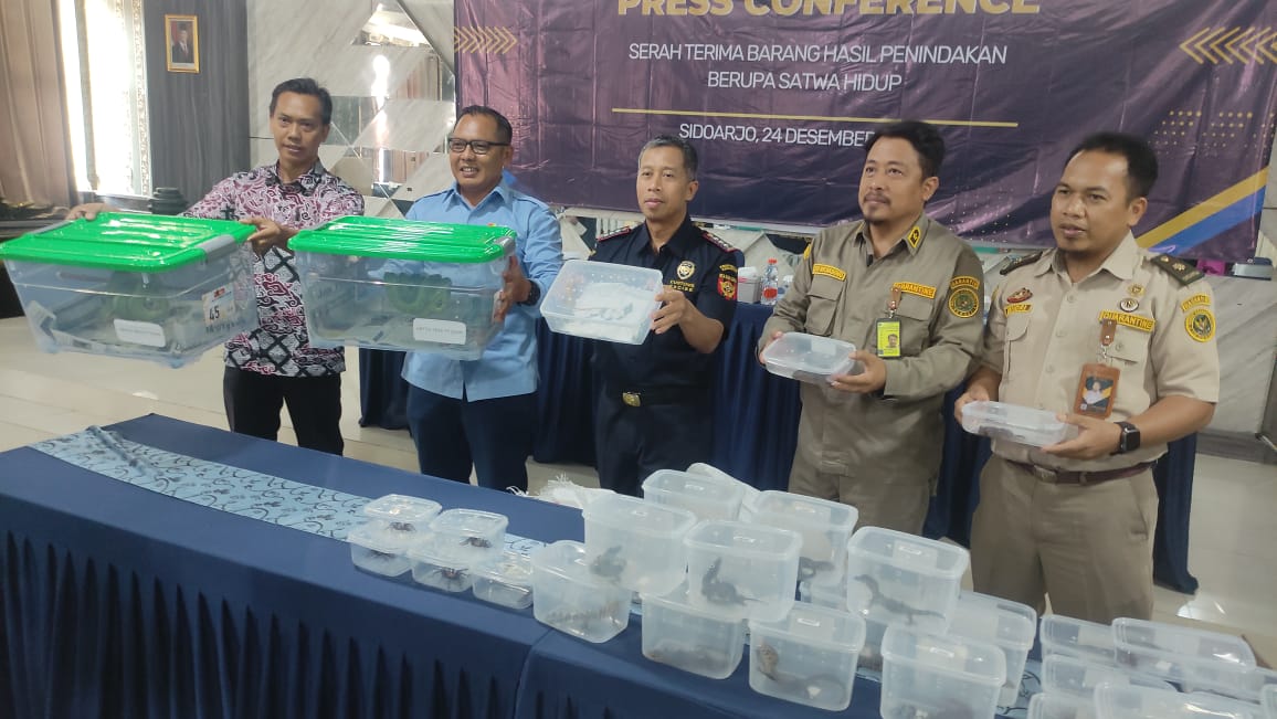 LANGKA: Petugas Bea Cukai Juanda menunjukkan barang bukti hewan yang akan diekspor secara ilegal ke Hongkong. (IST)