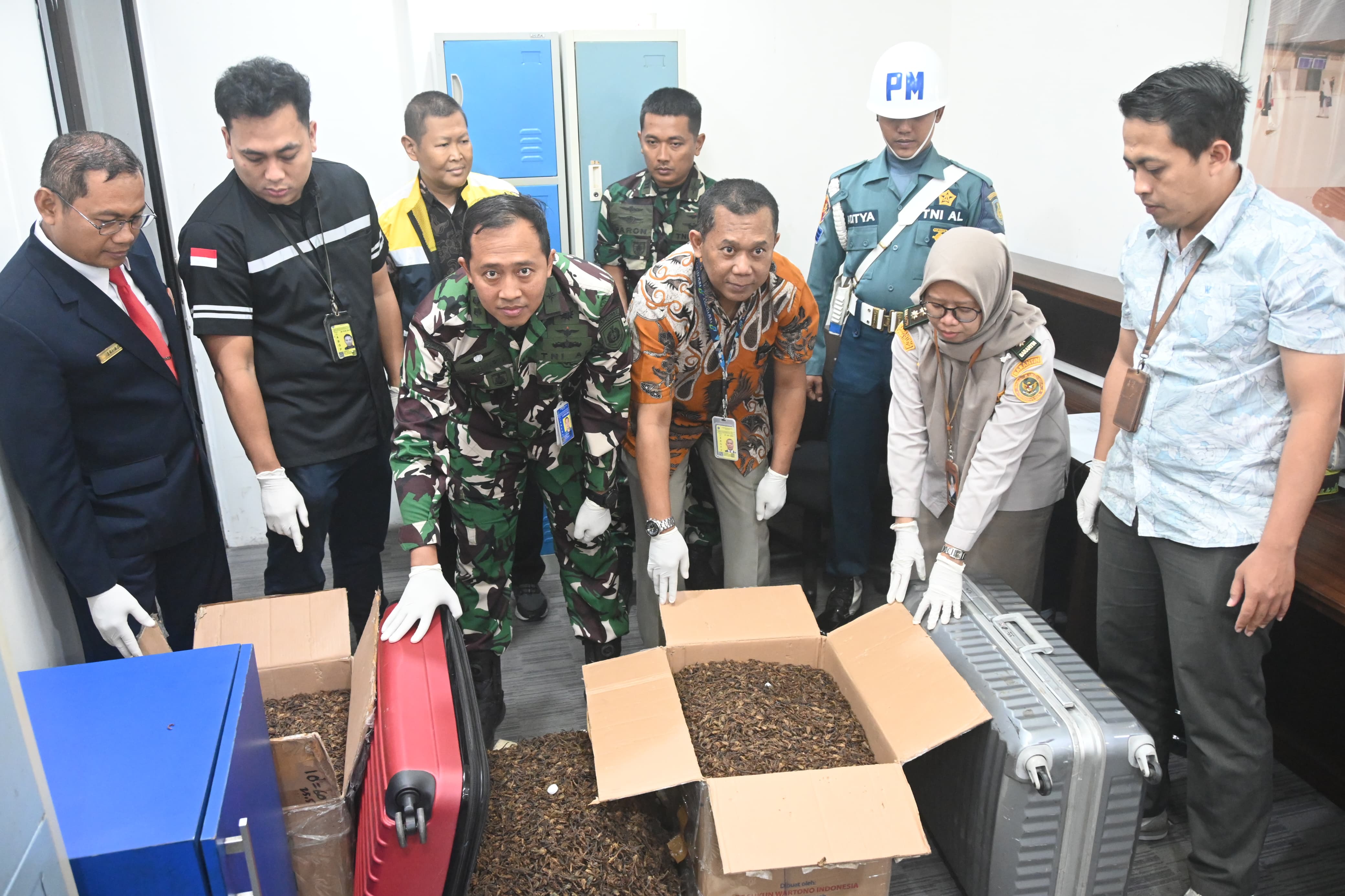 DISERAHKAN : Petugas gabungan Bandara Juanda di Sidoarjo menunjukkan jutaan ekor kalajengking kering yang disita dari penumpang pesawat. (IST/RADAR SIDOARJO).