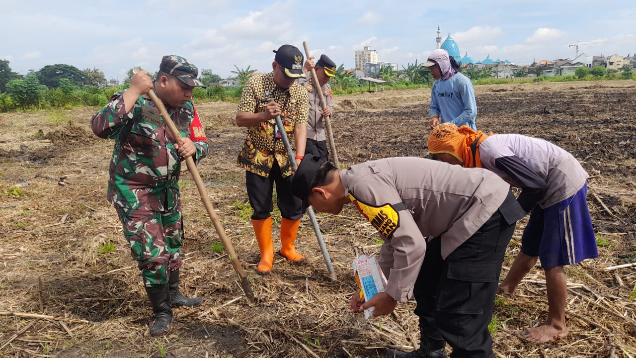 SINERGI : Fokopimka Taman bersama kelompok tani menanam jagung di lahan TKP Kelurahan Sepanjang, Taman, Sidoarjo. (IST/RADAR SIDOARJO)