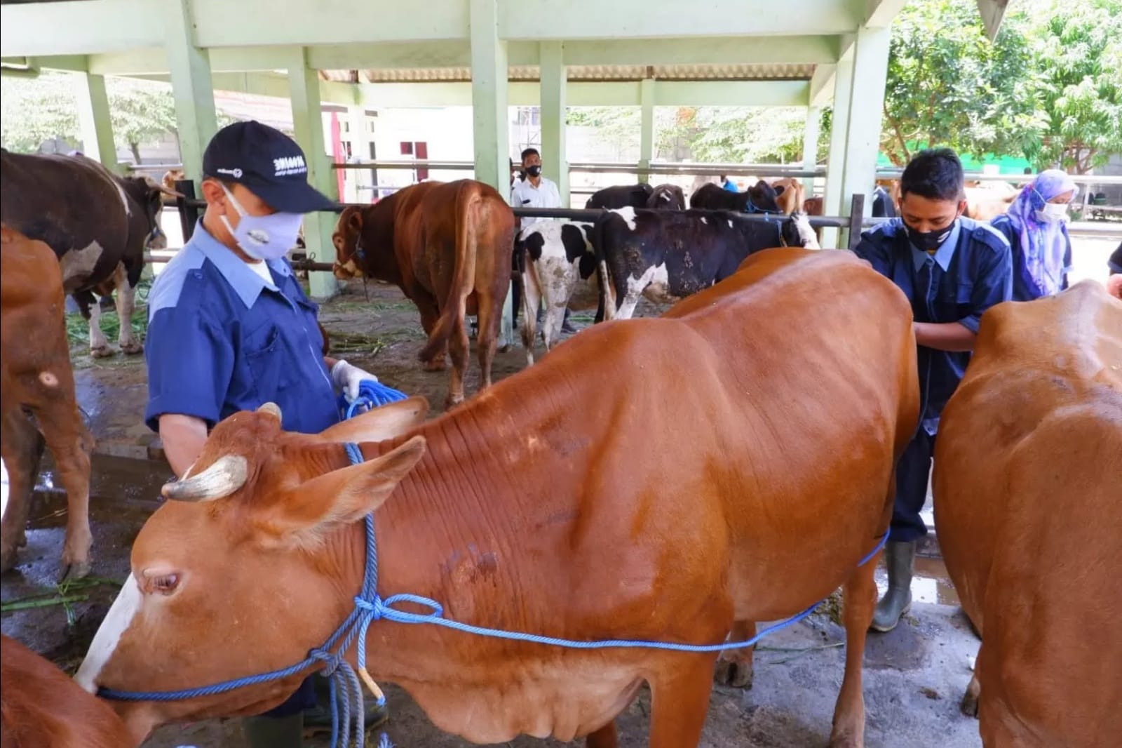 ANTISIPASI : Pasar hewan di Kecamatan Krian, Sidoarjo ditutup sementara untuk menekan persebaran virus PMK. (DOC/RADAR SIDOARJO)