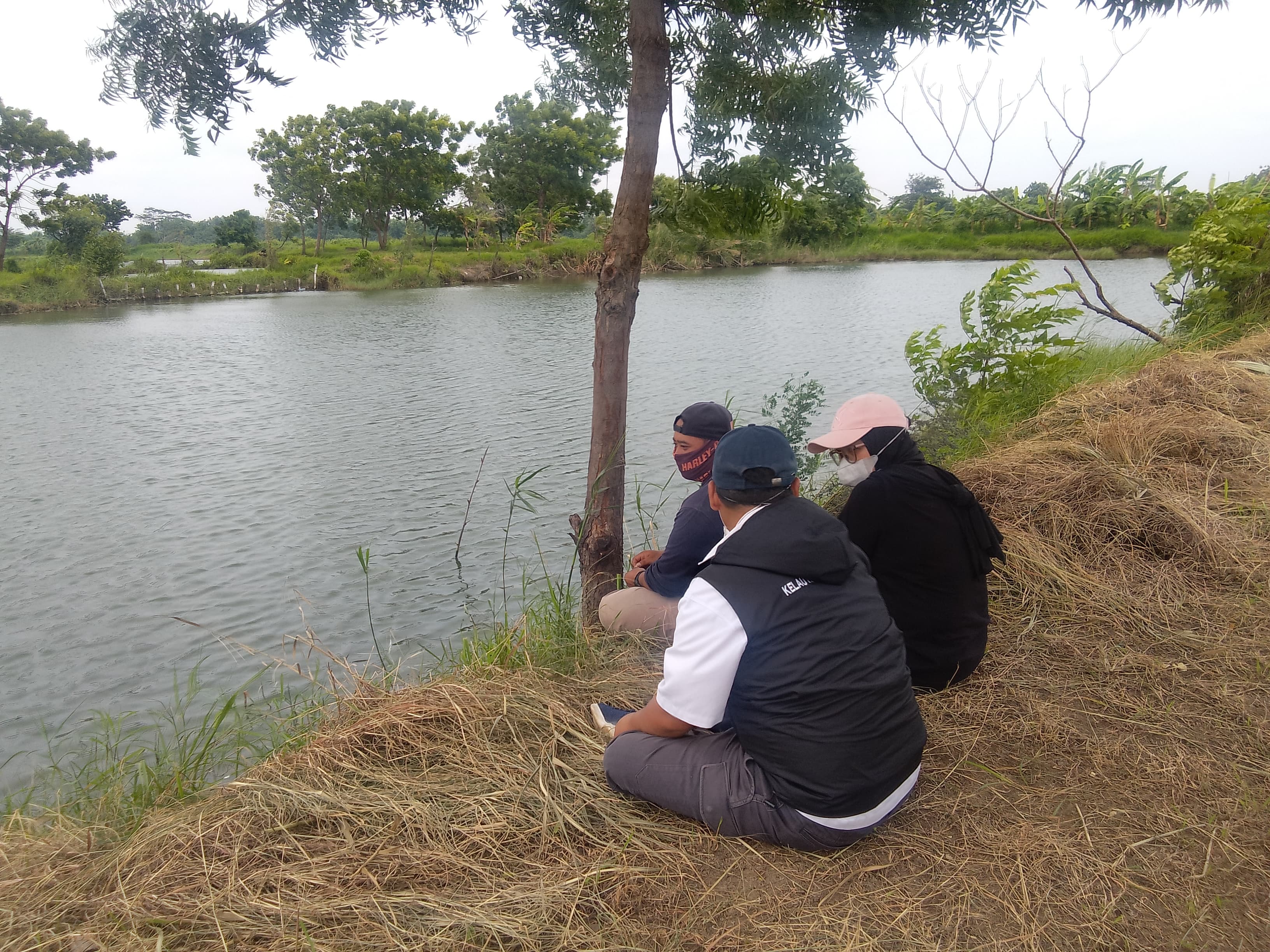 MENUNGGU : Petugas BPSPL sedang dalam proses menangkap buaya di tambak milik warga Desa Kedungpandan, Jabon, Sidoarjo, Senin (3/2). (DIKY PUTRA SANSIRI/RADAR SIDOARJO)