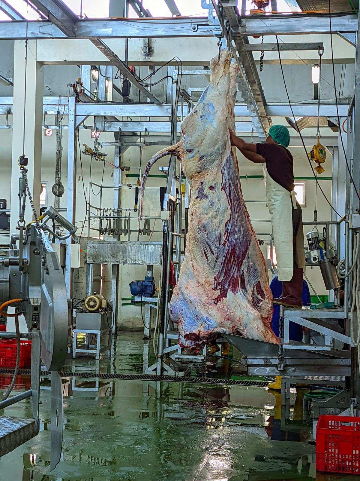 HIGIENIS: Penyembelihan daging di Tempat Pemotongan Hewan Krian. (IST)