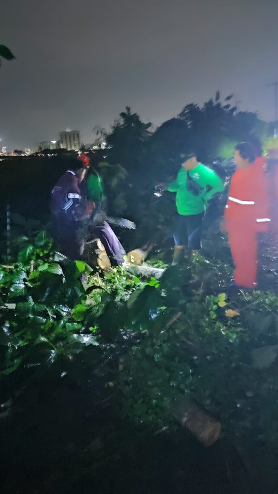 AMBRUK : Belasan tumbang dan delapan rumah di Kelurahan Gedang, Porong, Sidoarjo, rusak usai diterjang angin kencang. (IST/RADAR SIDOARJO)