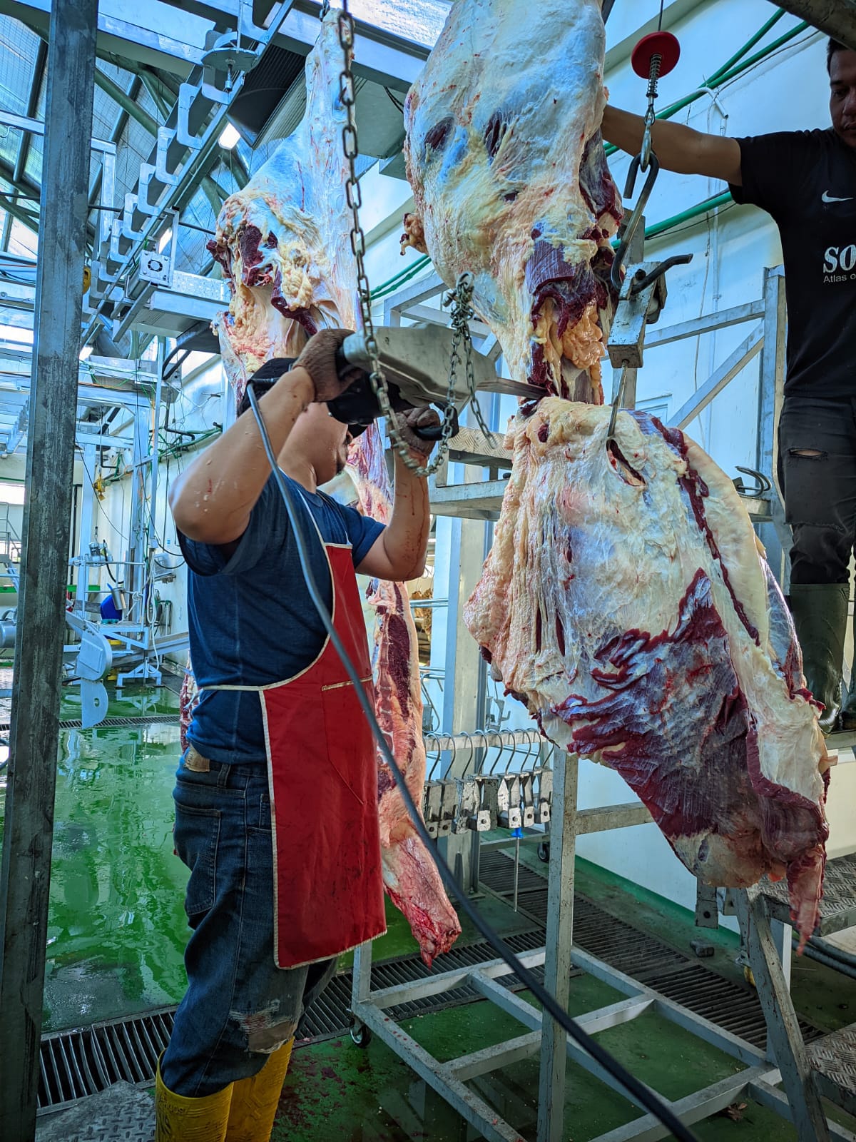 SESUAI STANDAR: Pemotongan daging sapi di RPH Krian sudah menerapkan standar ketat Dispaperta Sidoarjo. (IST/RADAR SIDOARJO)