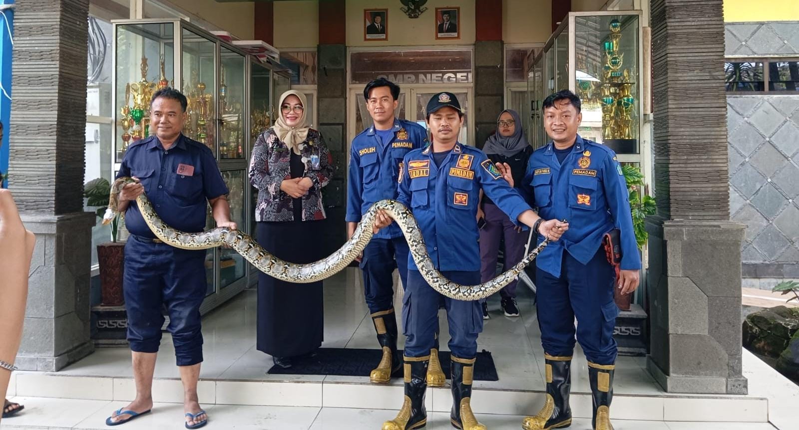 GEGER : Ular sanca kembang berhasil dievakuasi damkar dI SMPN 4 Sidoarjo. (IST/RADAR SIDOARJO)