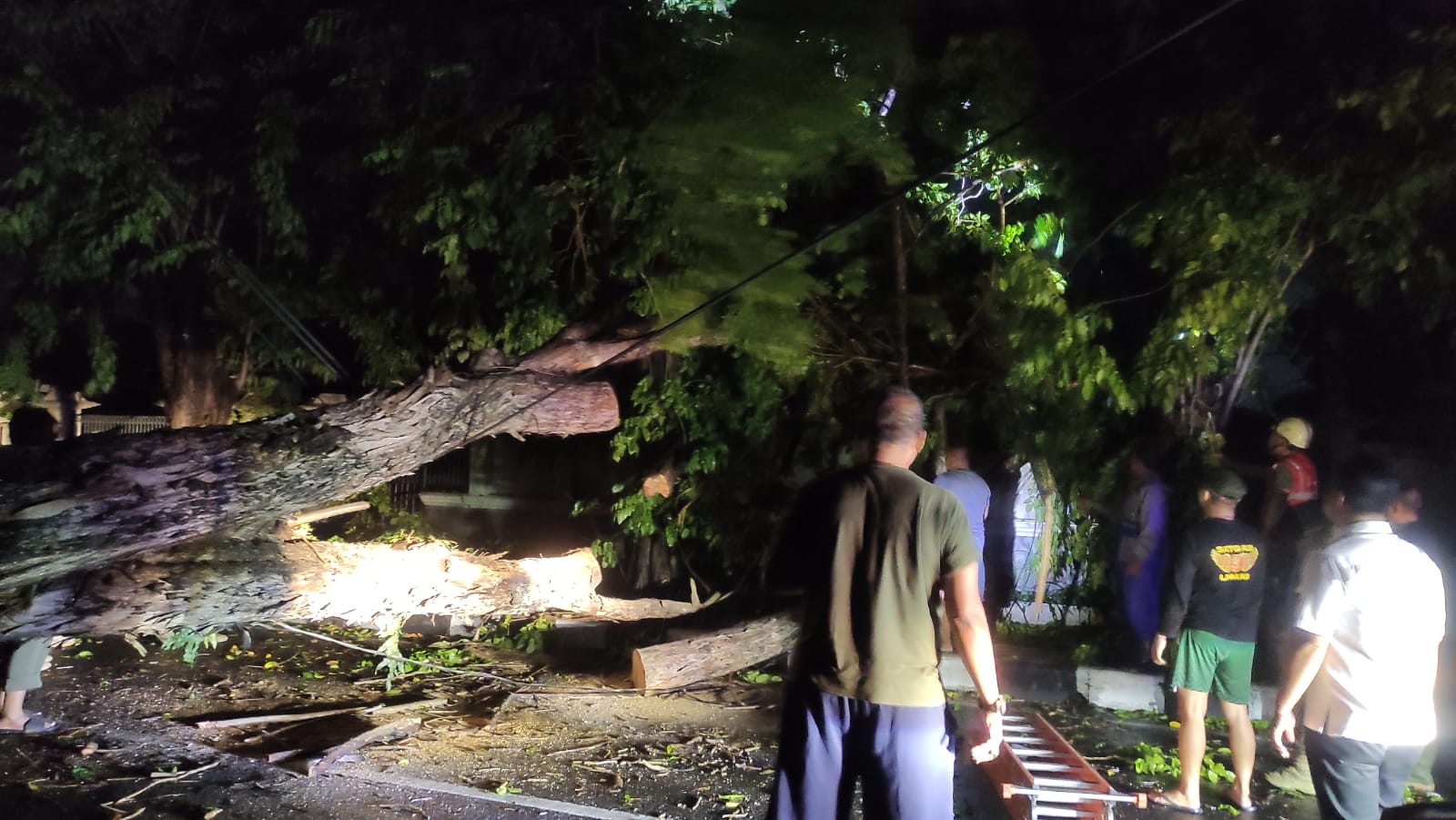 EVAKUASI : Petugas berupaya memotong dan meminggirkan pohon tumbang di Sidoarjo, Selasa (22/4). (IST/RADAR SIDOARJO)
