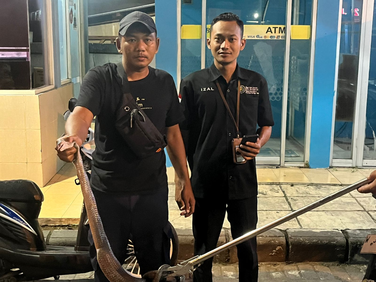 EVAKUASI: Ular kobra berhasil ditangkap di rumah sakit wilayah Tulangan.