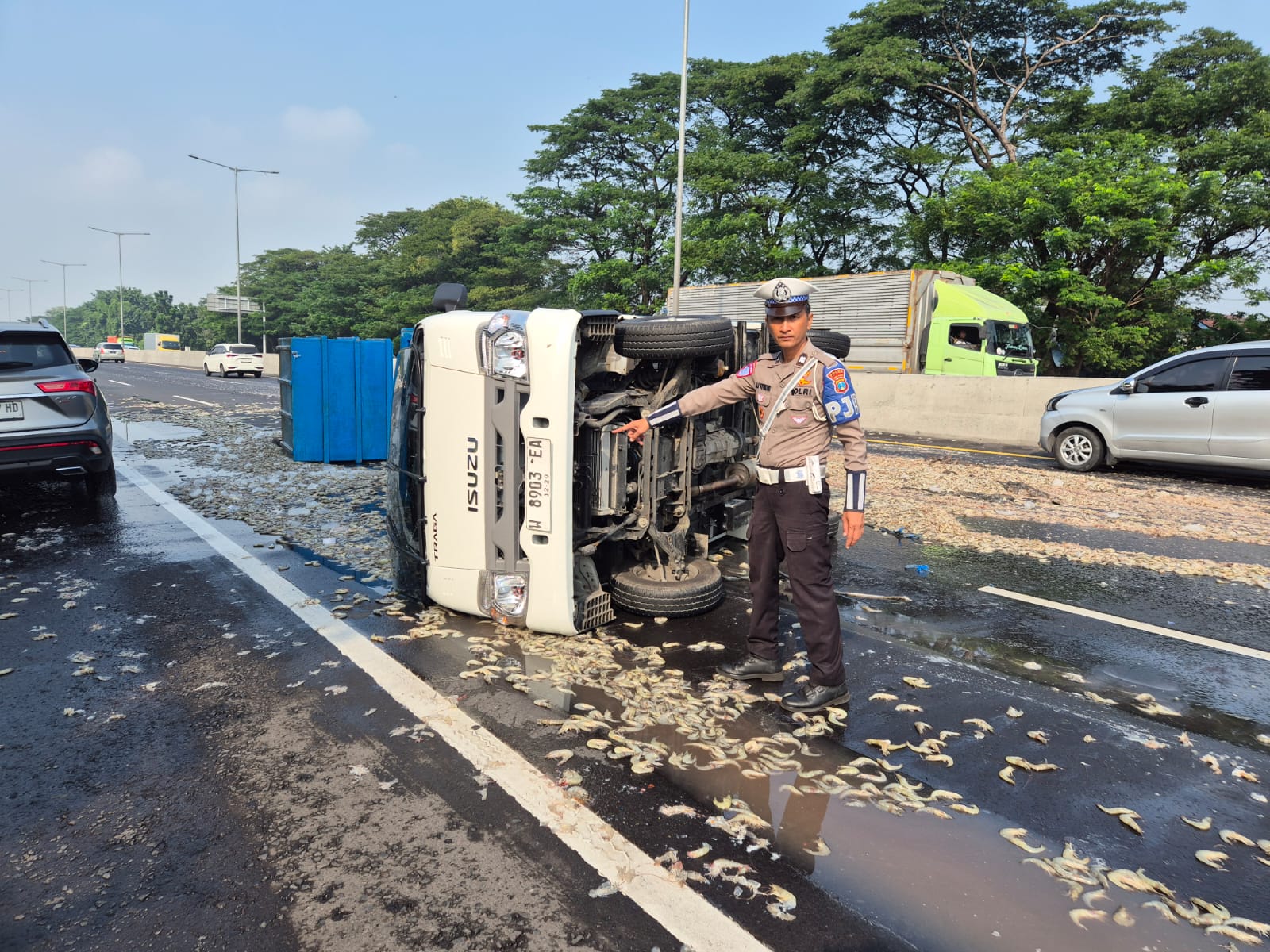 APES: Pikap terguling setelah ban meletus di Tol Sidoarjo, Kamis (8/5).