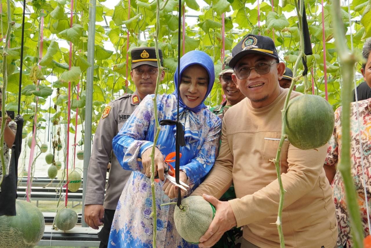 SEGAR: Wakil Bupati Sidoarjo Mimik Idayana hadir dalam acara panen melon hidroponik di sana, Sabtu (10/5/2025).