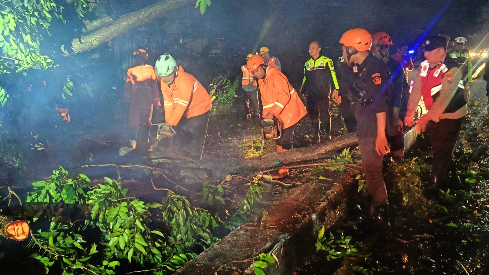EVAKUASI : Petugas saat memotong pohon tumbang yang menimpa truk di Jalan Sidorejo, Krian, Sidoarjo. (IST/RADAR SIDOARJO)