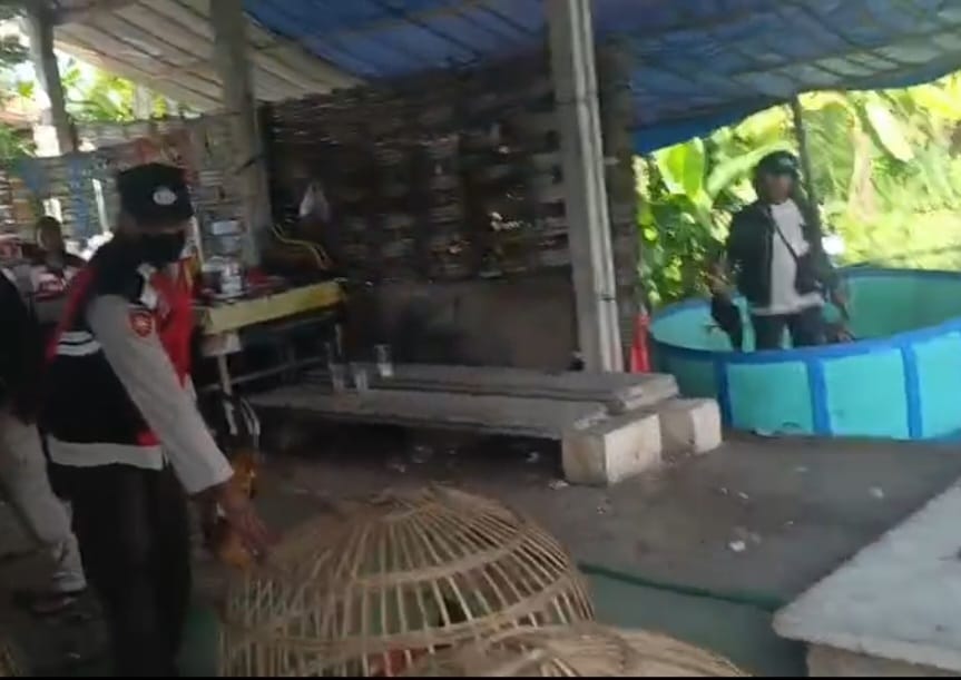 SEPI : Peralatan sabung ayam yang diamankan Polsek Krian. Sabung ayam ini dilakukan di lahan TPST Desa Sedenganmijen, Sidoarjo. (IST/RADAR SIDOARJO)