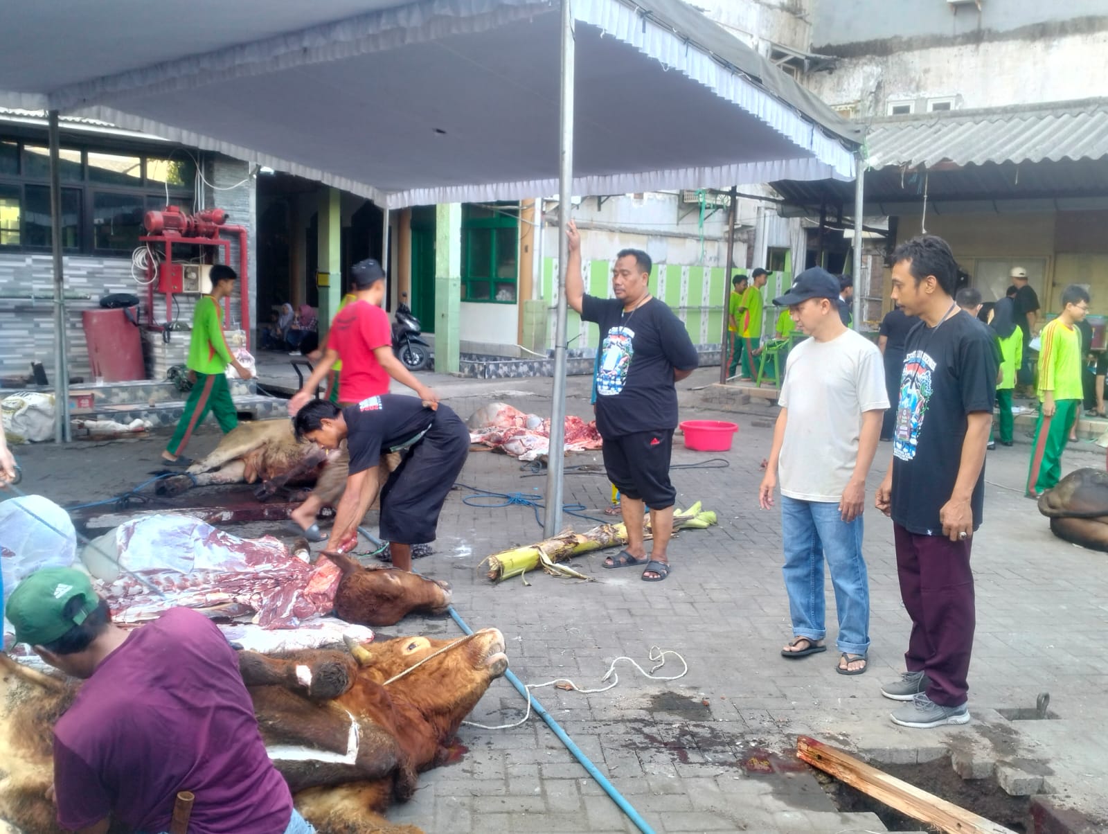 GUYUB : Ketua YPM Taman Sidoarjo Ir.Ahmad Makki saat meninjau pembelian hewan kurban. (ANAS/ RADAR SIDOARJO)
