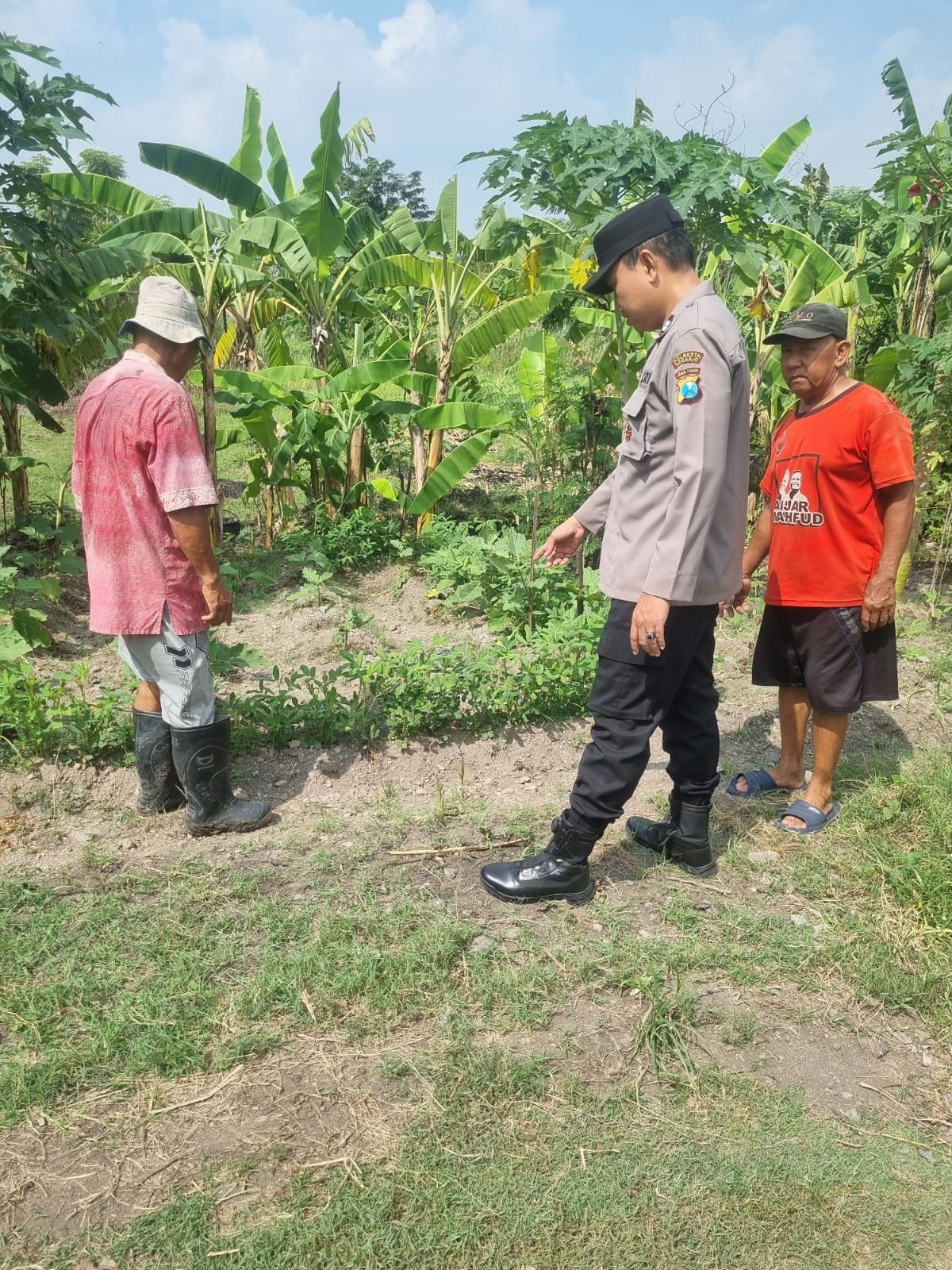 MOTIVASI: Polisi memeriksa tanaman kacang sebagai bagian dari program ketahanan pangan di Desa Kedungturi, Kecamatan Taman, Senin (9/6).