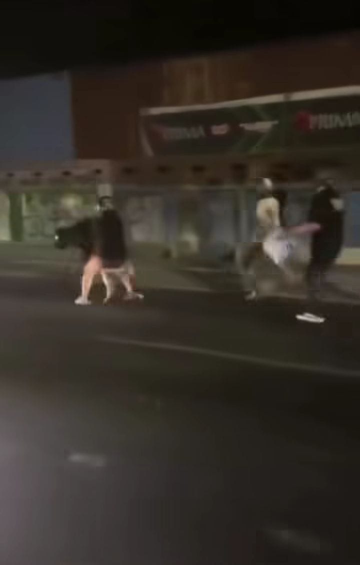 VIRAL: Detik-detik diduga anggota gangster pamerkan sajam dan keroyok remaja di Porong. (IST)