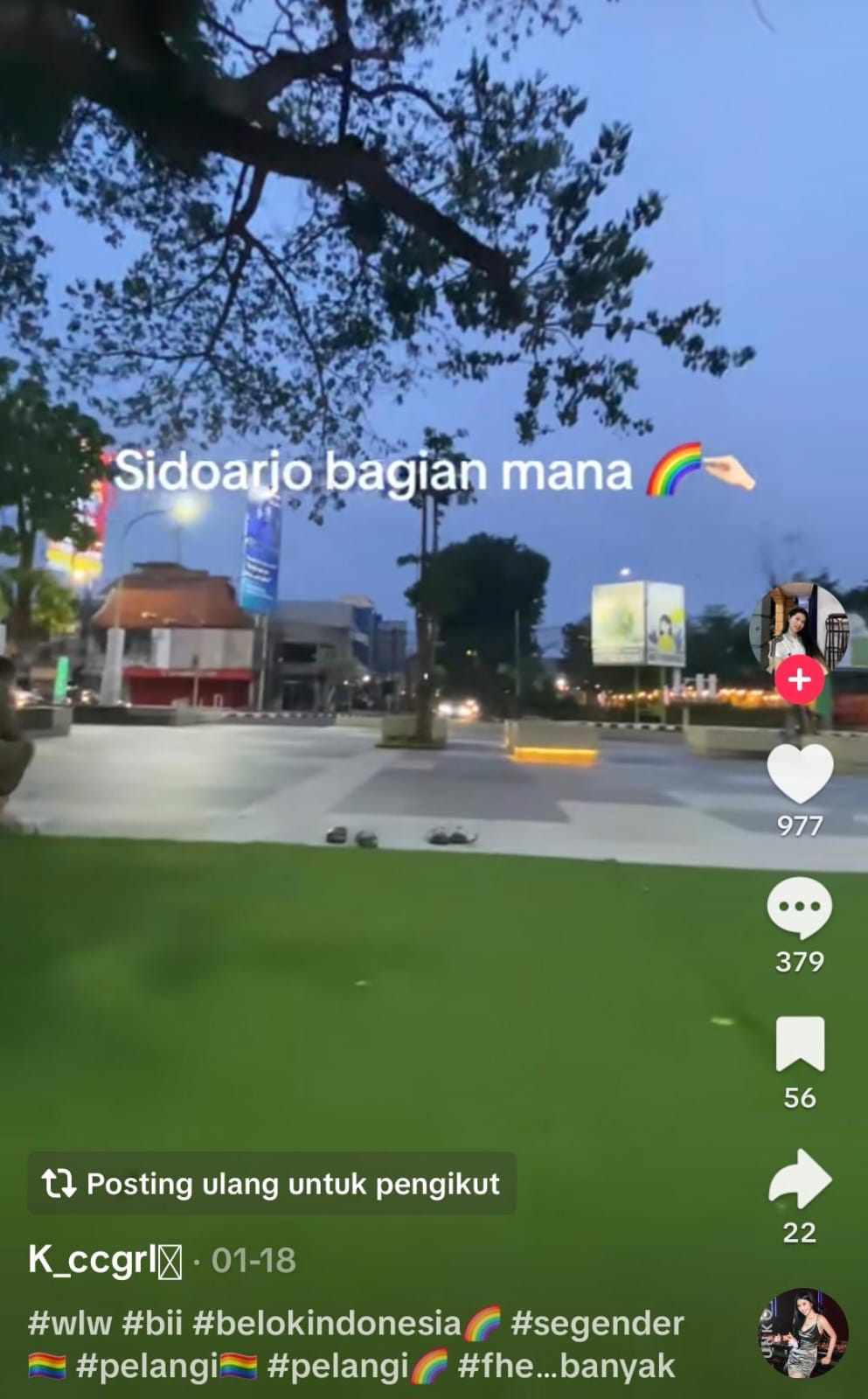 TERANG-TERANGAN: Aktivitas diduga gay di Alun-alun Sidoarjo yang dipublikasi di akun TikTok.