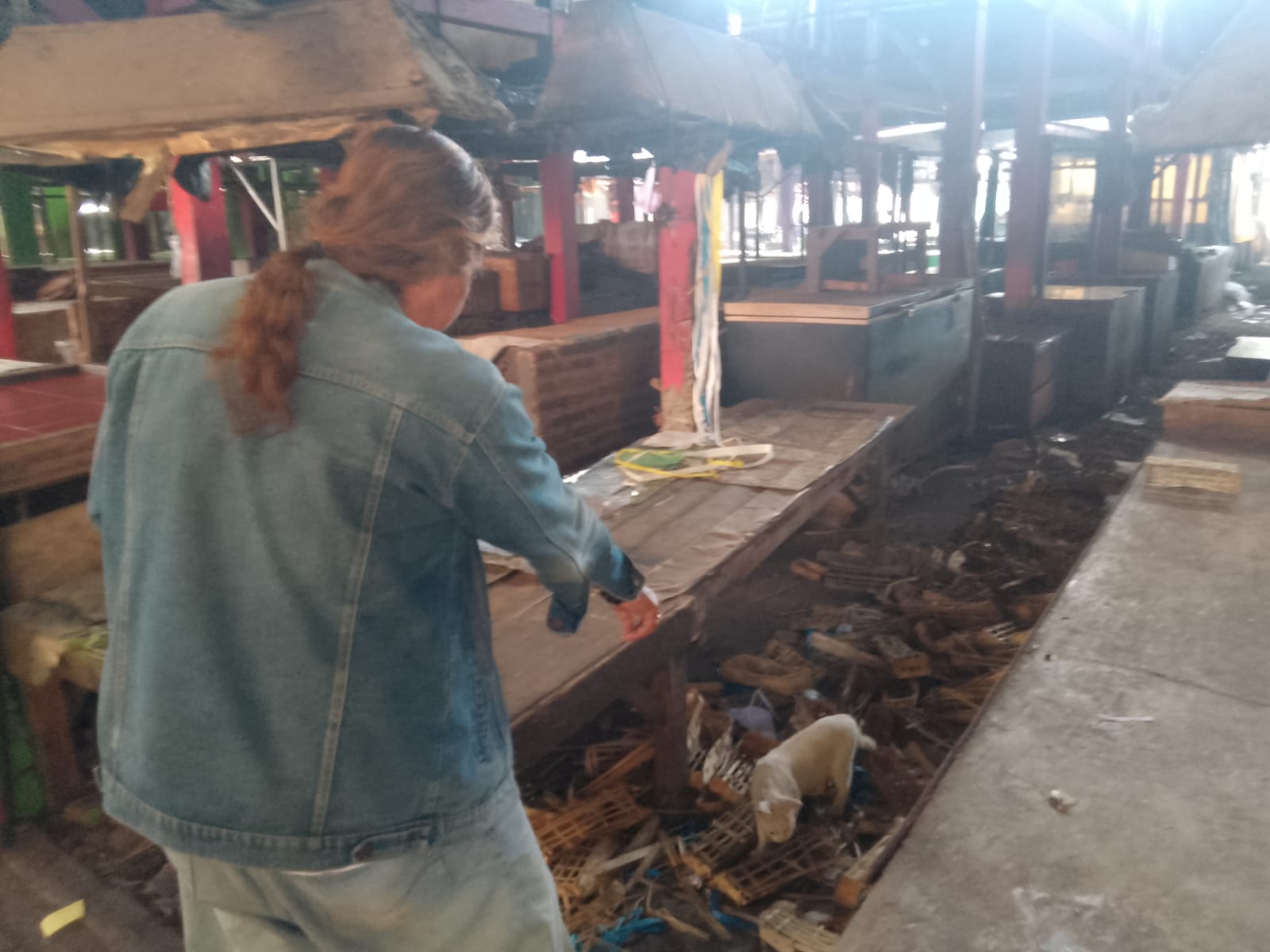 BELUM TERBUKTI: Video viral di medsos terkait penemuan kepala kucing sempat hebohkan para pedagang Pasar Sepanjang, Taman, Sidoarjo. (IST/RADAR SIDOARJO)