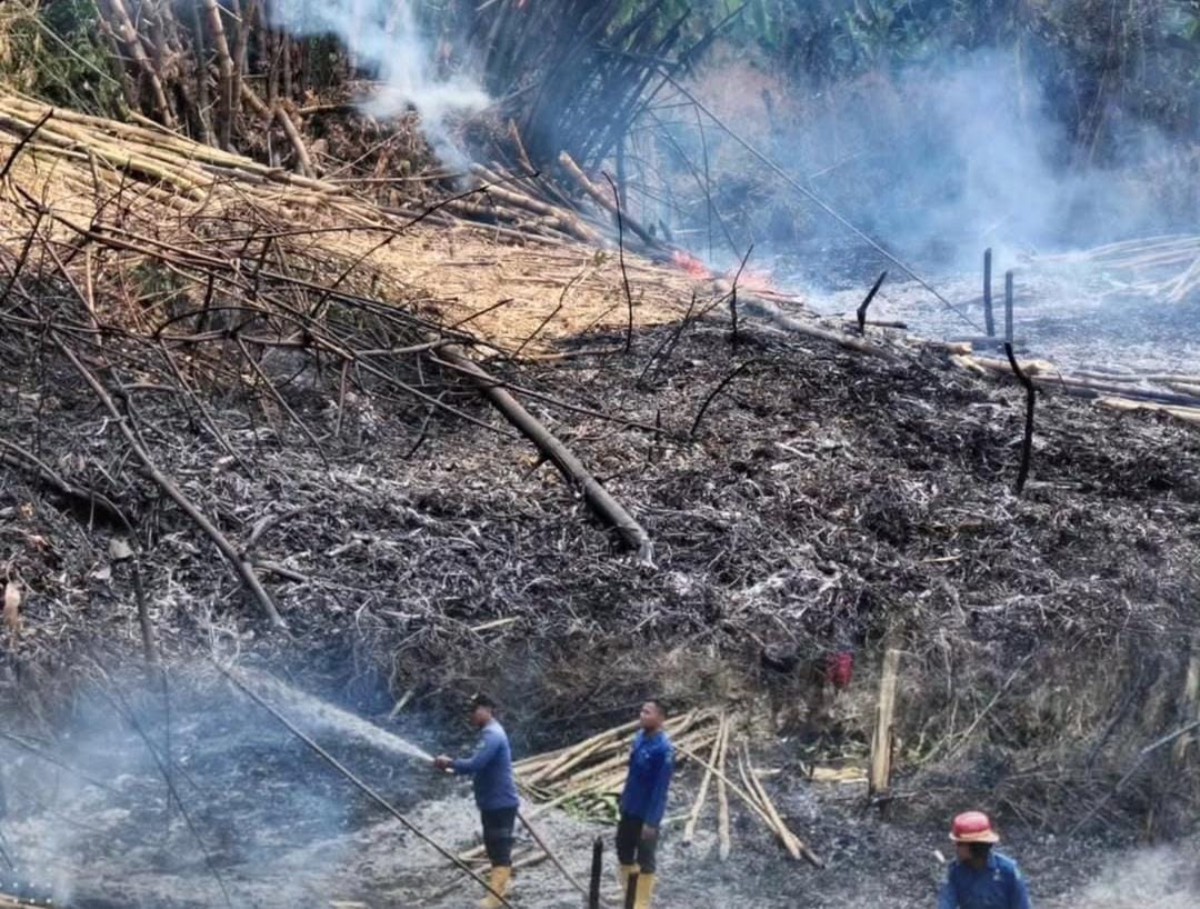 HANGUS: Petugas Damkar Sidoarjo berusaha memadamkan kebakaran lahan kosong di Desa Tempel, Krian.  &nbsp;