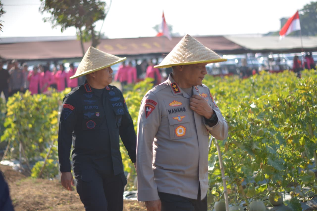 KETAHANAN PANGAN: Kapolda Jatim panen melon dan semangka di Bypass Krian, Sidoarjo, Selasa (23/9).