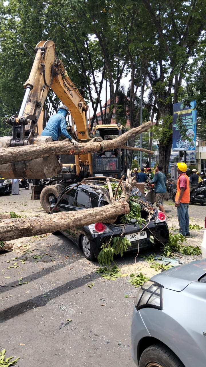 RUSAK: Mobil Brio milik warga tertimpa pohon saat proses penebangan di area Alun-alun Sidoarjo. (M SAIFUL ROHMAN/RADAR SIDOARJO)