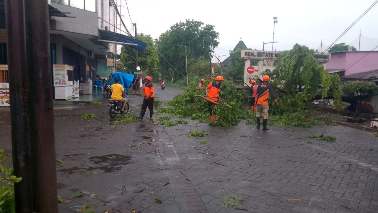 MUSIBAH: Pohon tumbang terjadi di Desa Kepuhkiriman, Kecamatan Waru.
