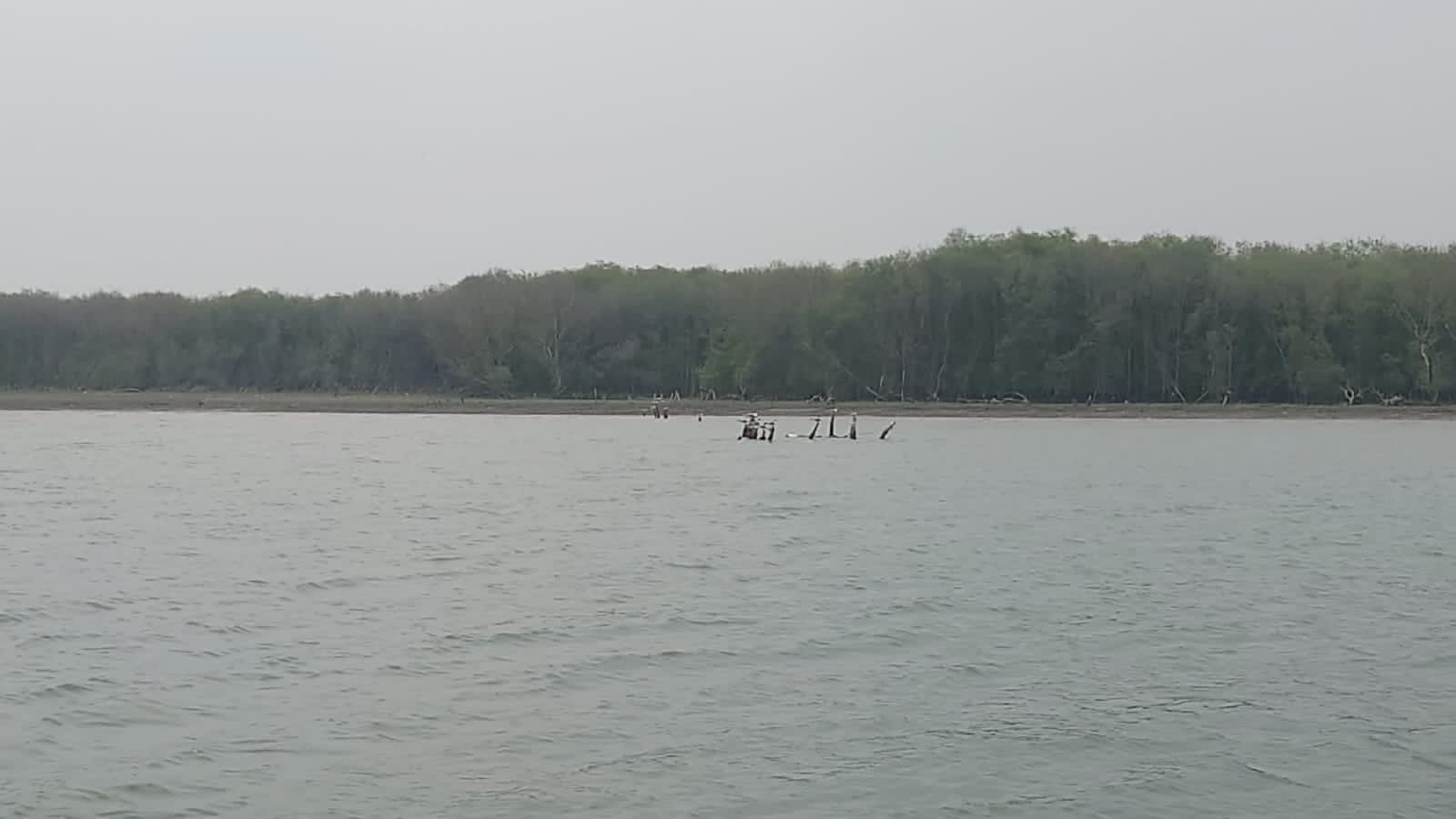 KERUSAKAN: Tambak di pesisir Sidoarjo menyusut.