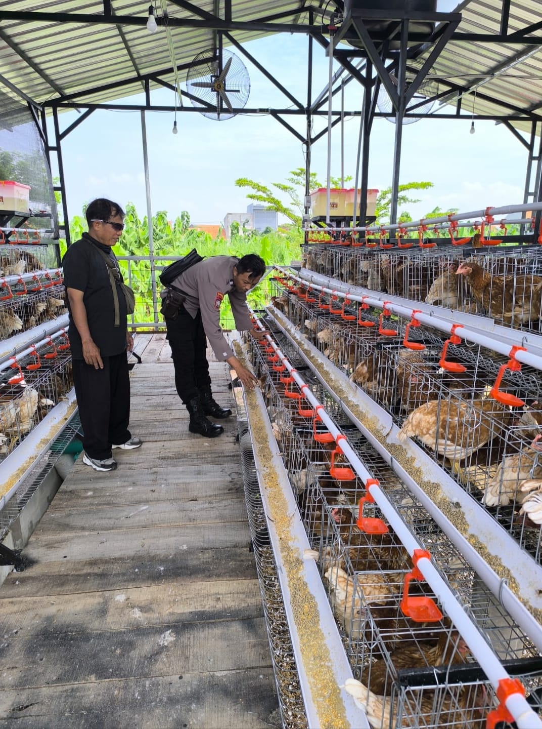 MENDUKUNG: Personel Bhabinkamtibmas Polsek Taman saat meninjau peternakan ayam petelur di Sidodadi.