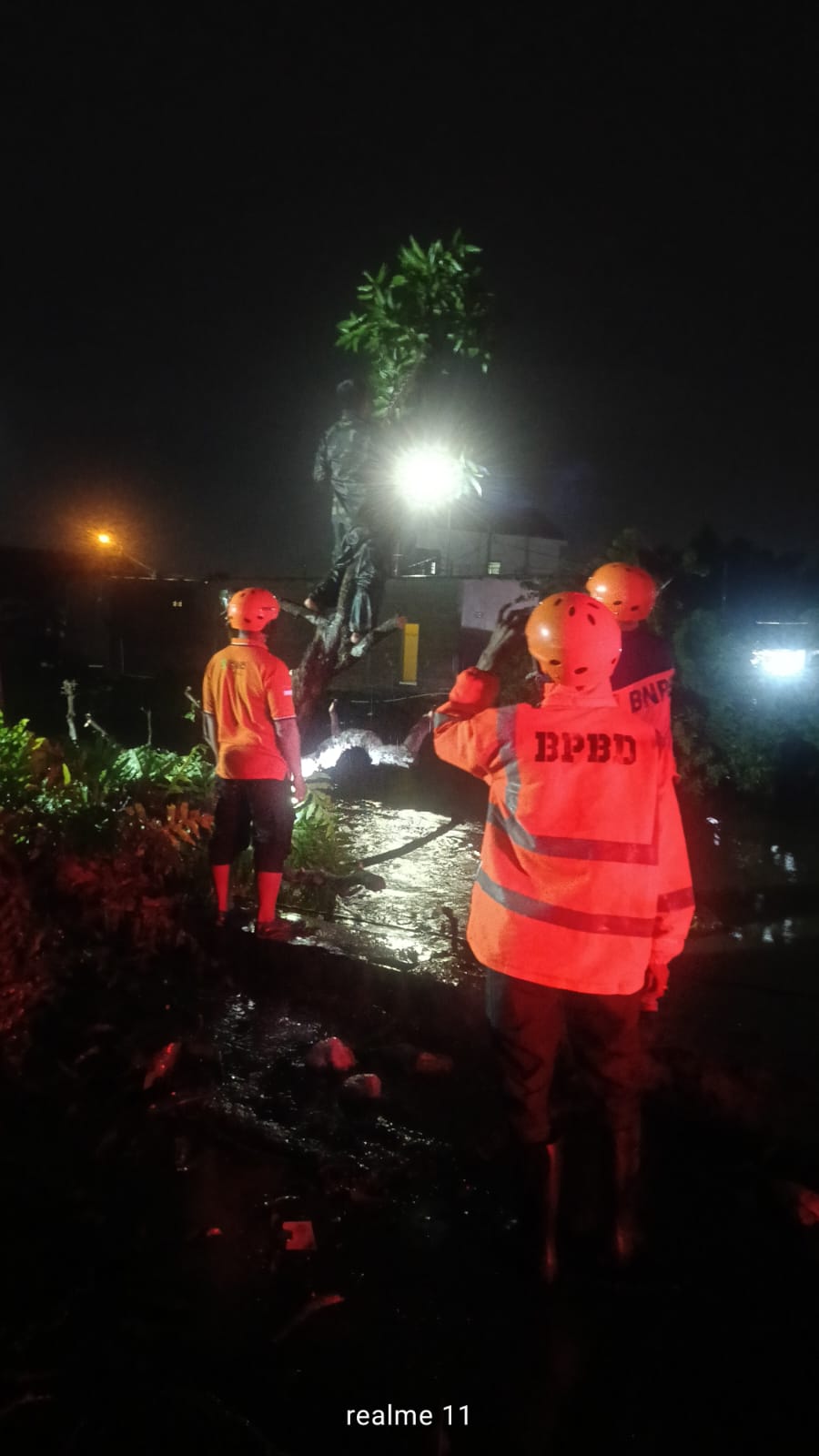 TUTUP JALAN: Petugas sedang berjibaku mengevakuasi pohon tumbang di Kemantren, Tulangan, Kamis (25/12) malam.