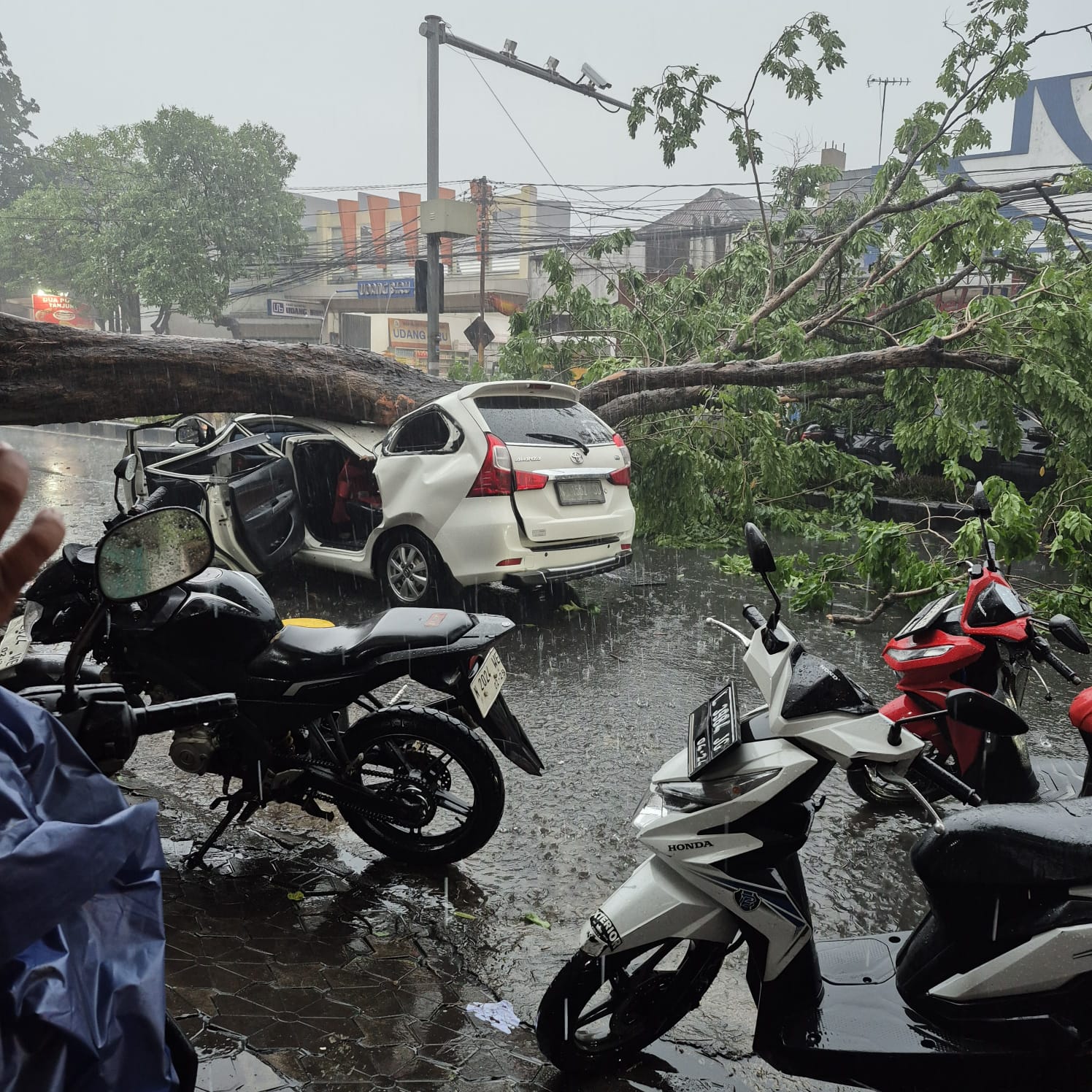 RUSAK: Mobil tertimpa pohon di Sidoarjo, Sabtu (3/1).