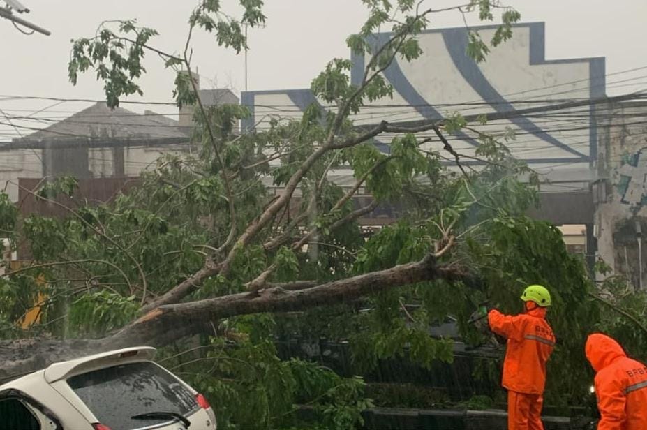CUACA EKSTREM: Pohon tumbang akibat angin dan hujan deras terjadi Sabtu (3/1) sore.