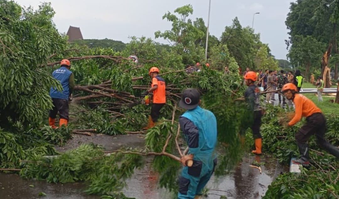 ROBOH: Petugas berusaha membersihkan pohon yang tumbang di area parkir T1 Bandara Juanda.
