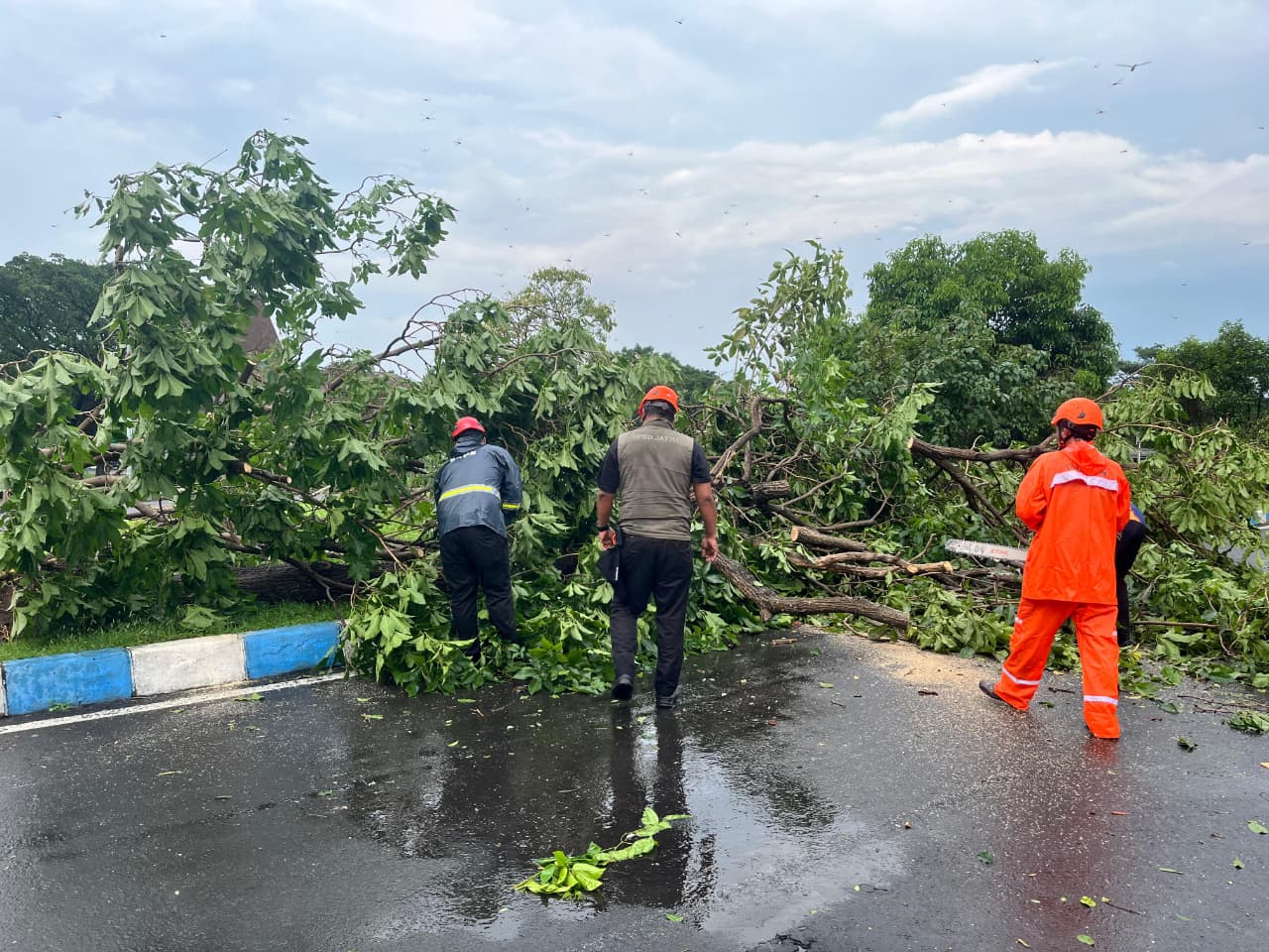 POHON TUMBANG: Angin puting beliung menerjang kawasan Bandara Internasional Juanda, Sidoarjo.