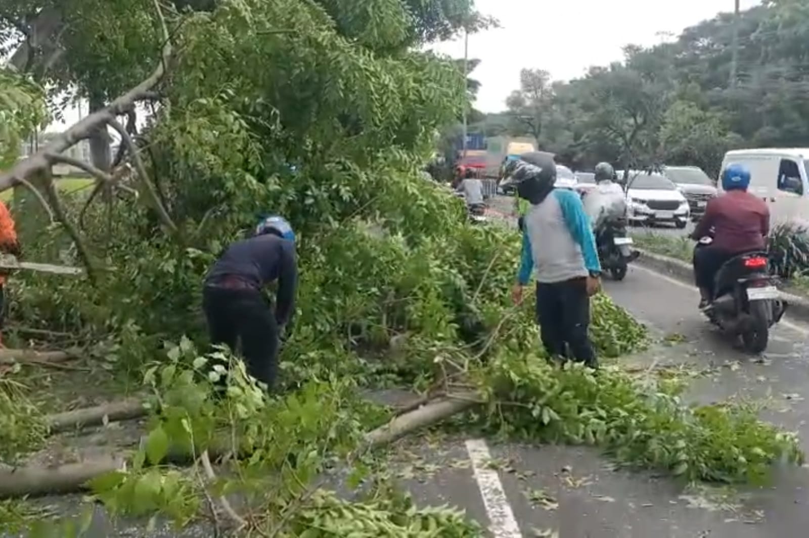 ROBOH: Petugas gabungan berusaha membersihkan pohon yang tumbang di Jalan Raya Gedangan, Sidoarjo.