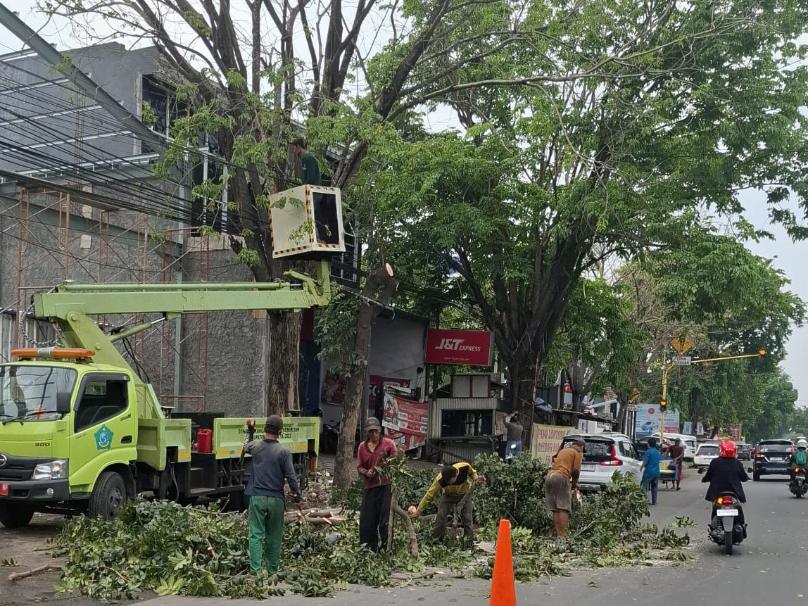 RAWAN: Pemangkasan pohon dilakukan untuk mencegah pohon tumbang saat hujan angin.